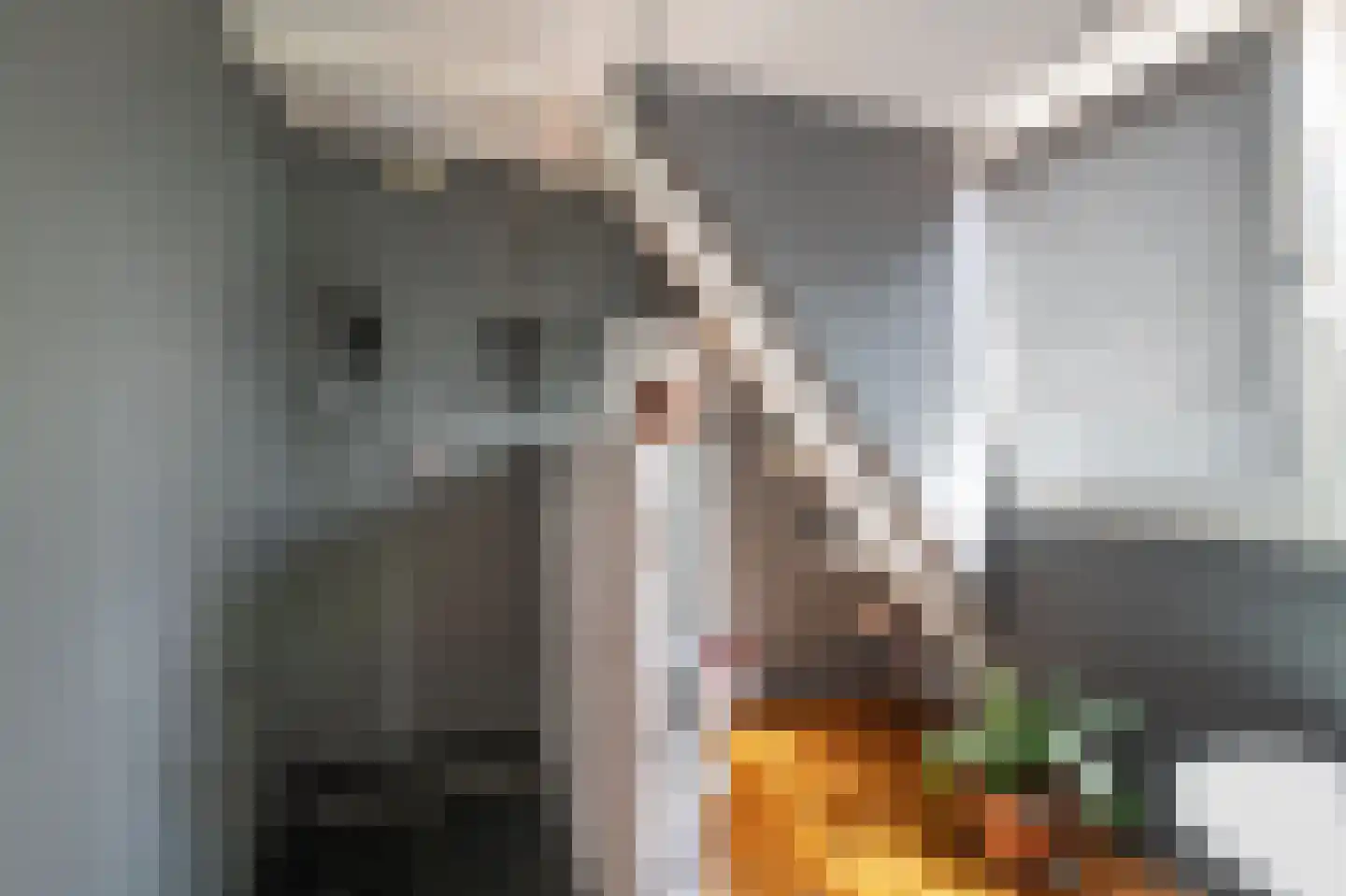 Zand- en Jaagpad 24 Baambrugge thumbnail 30