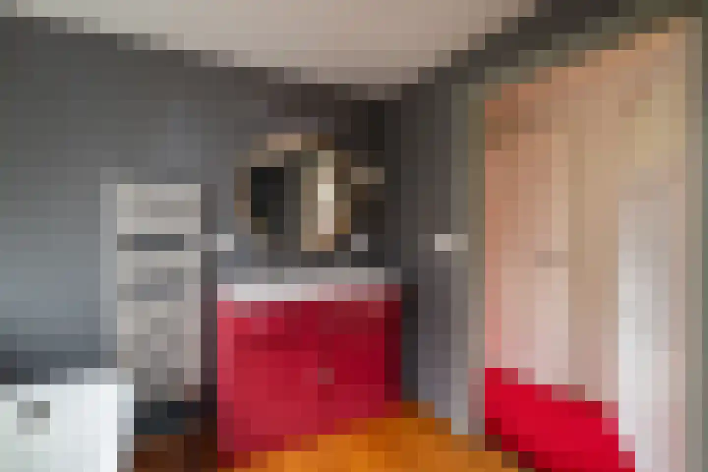 Zand- en Jaagpad 24 Baambrugge thumbnail 30