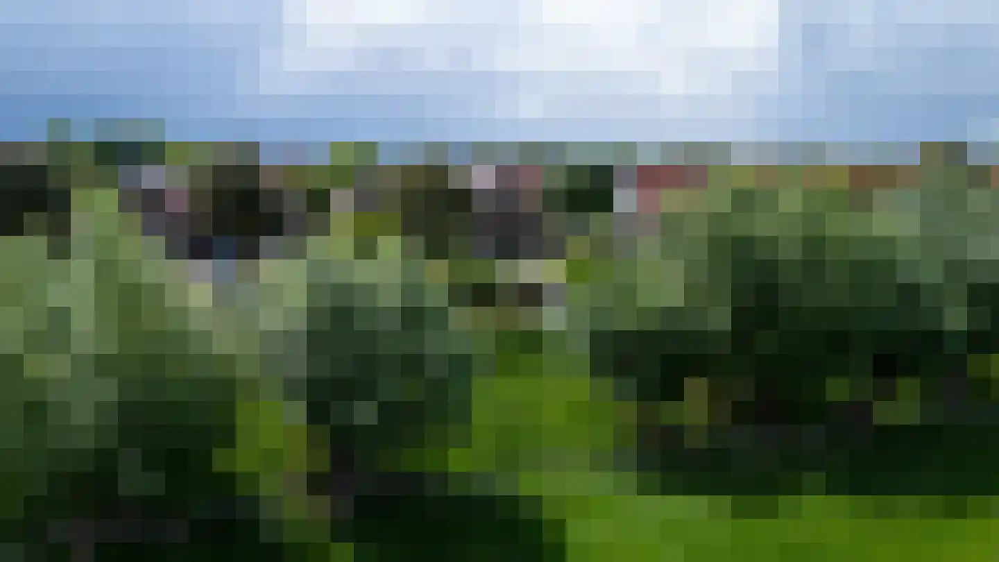 Zand- en Jaagpad 24 Baambrugge thumbnail 36