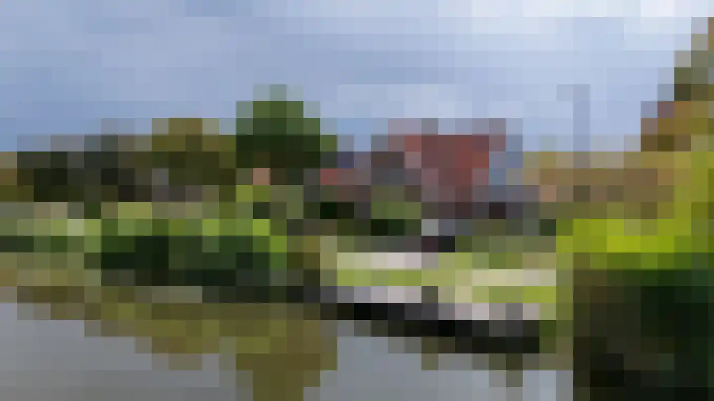 Zand- en Jaagpad 24 Baambrugge thumbnail 41