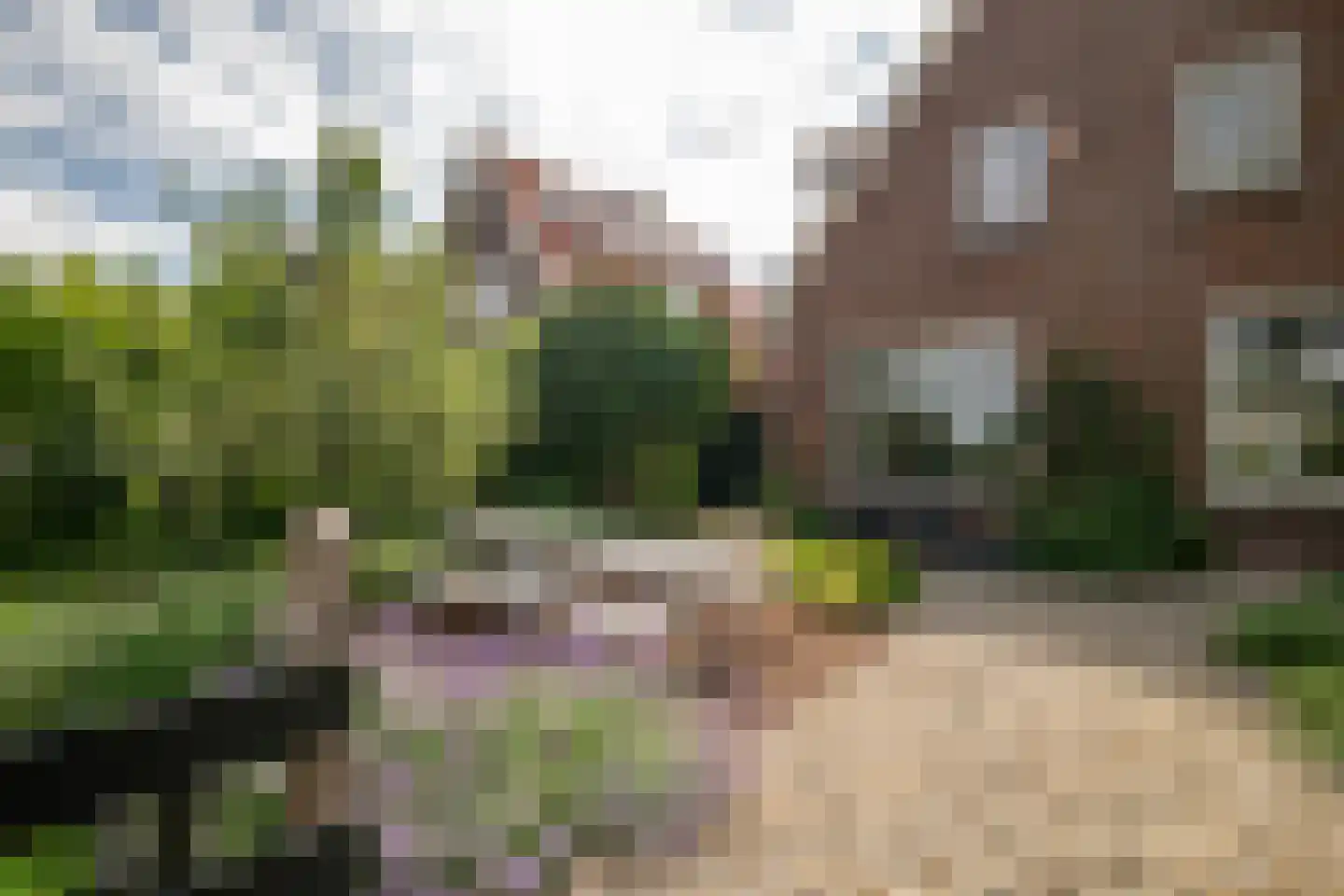 Zand- en Jaagpad 24 Baambrugge thumbnail 8