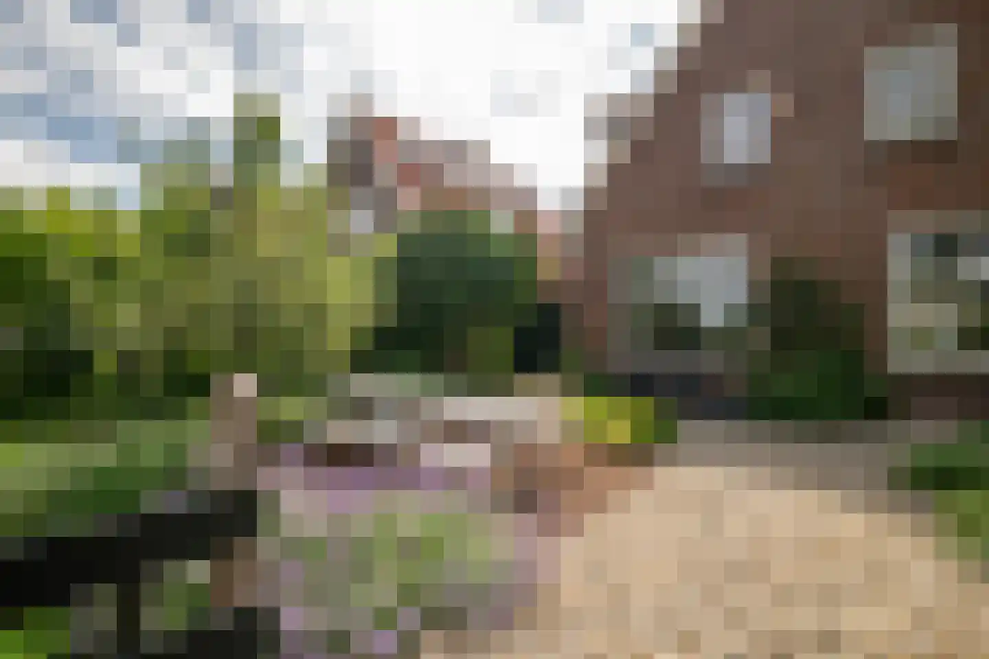 Zand- en Jaagpad 24 Baambrugge thumbnail 8