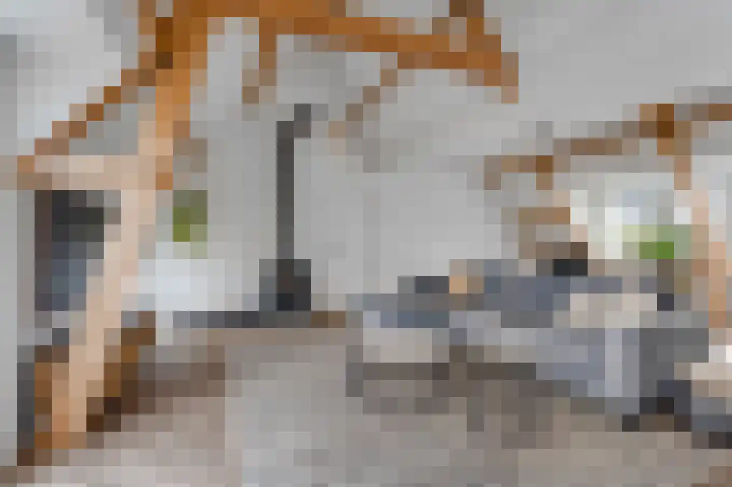 Zand- en Jaagpad 37 Baambrugge thumbnail 10