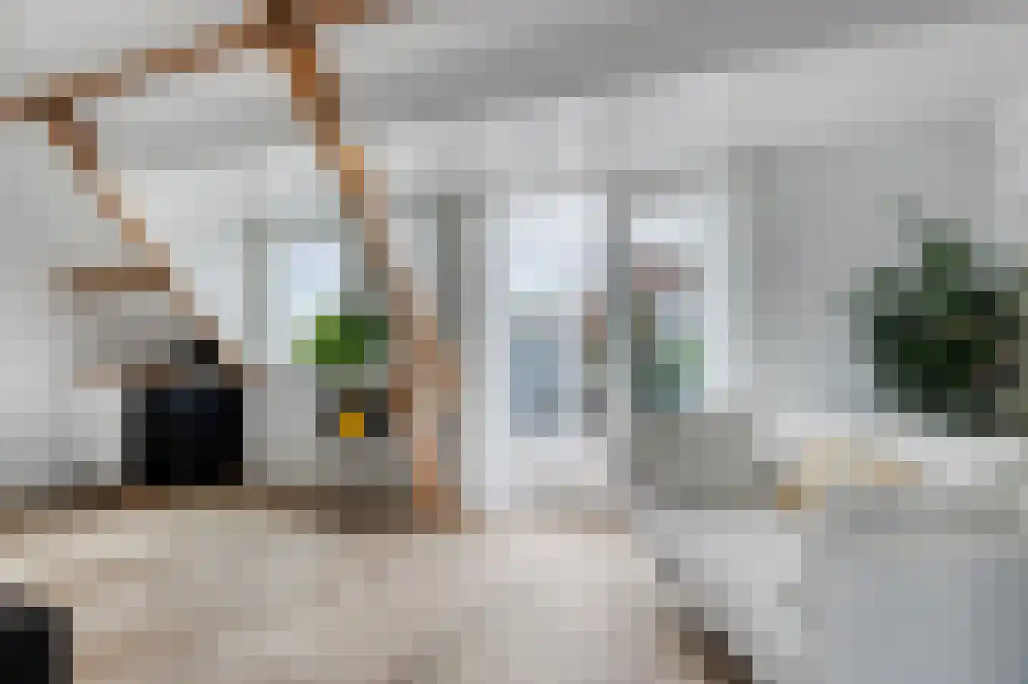 Zand- en Jaagpad 37 Baambrugge thumbnail 12