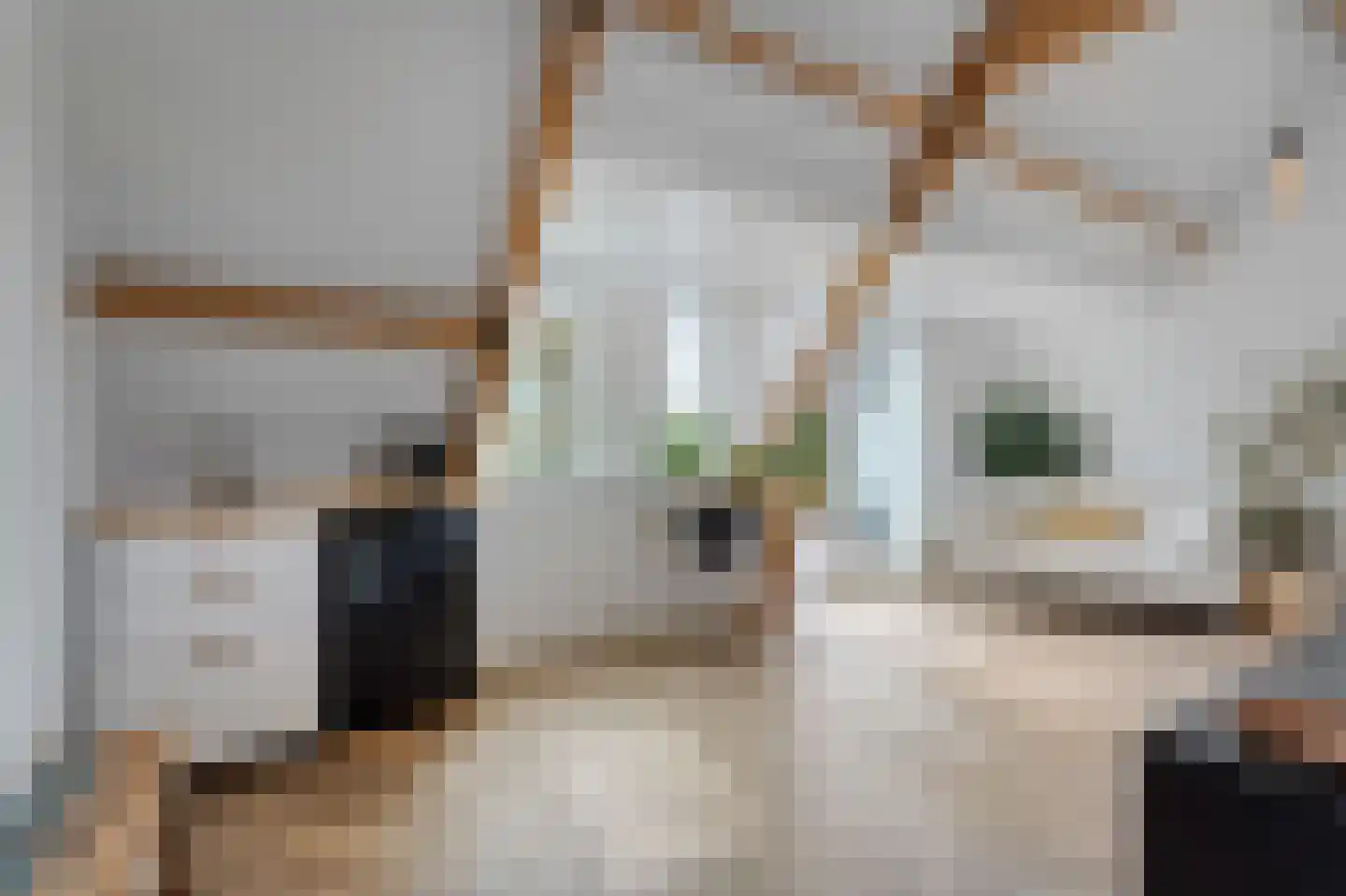 Zand- en Jaagpad 37 Baambrugge thumbnail 13