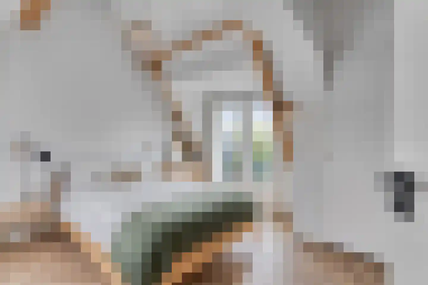 Zand- en Jaagpad 37 Baambrugge thumbnail 14