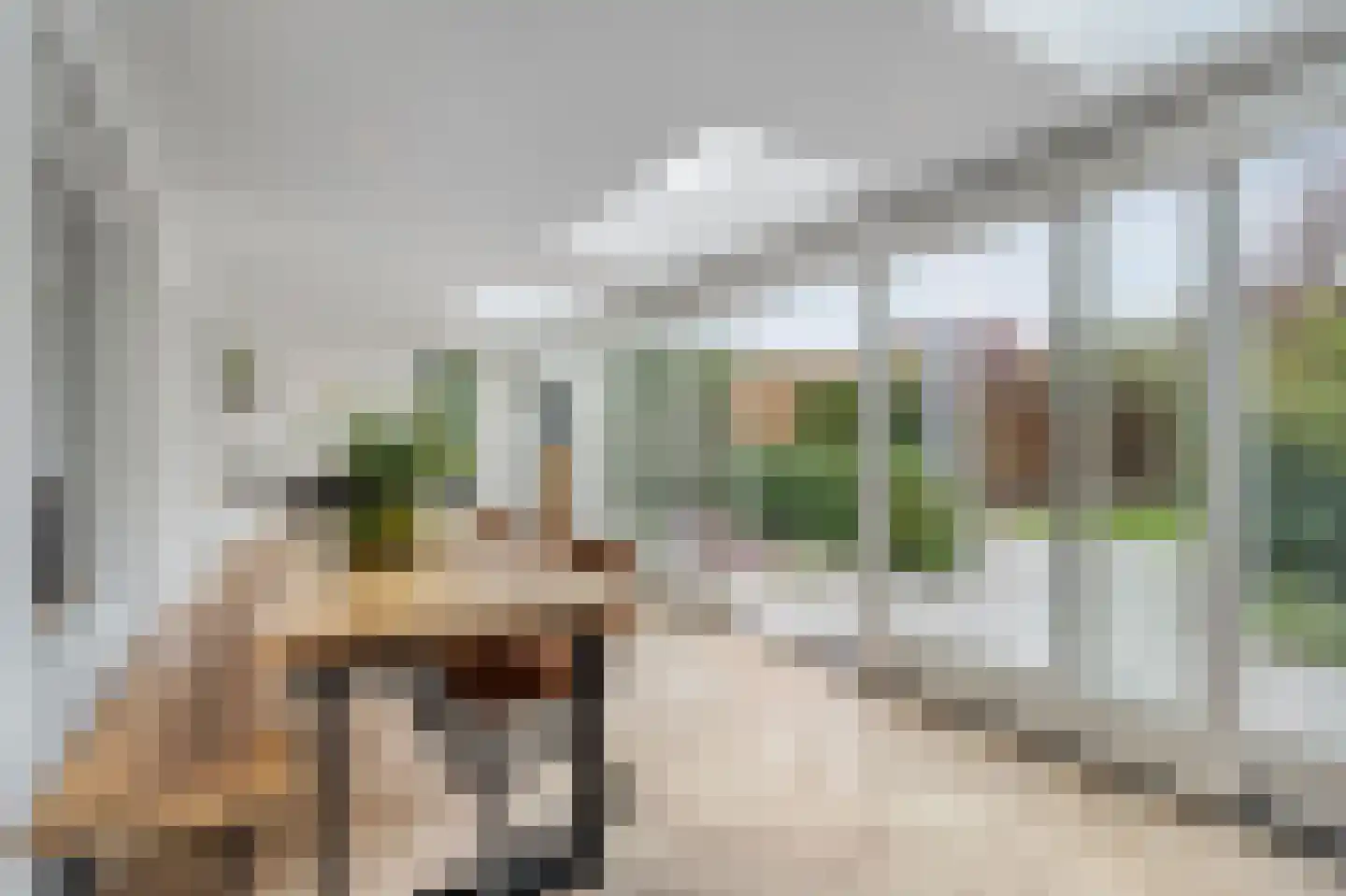 Zand- en Jaagpad 37 Baambrugge thumbnail 20