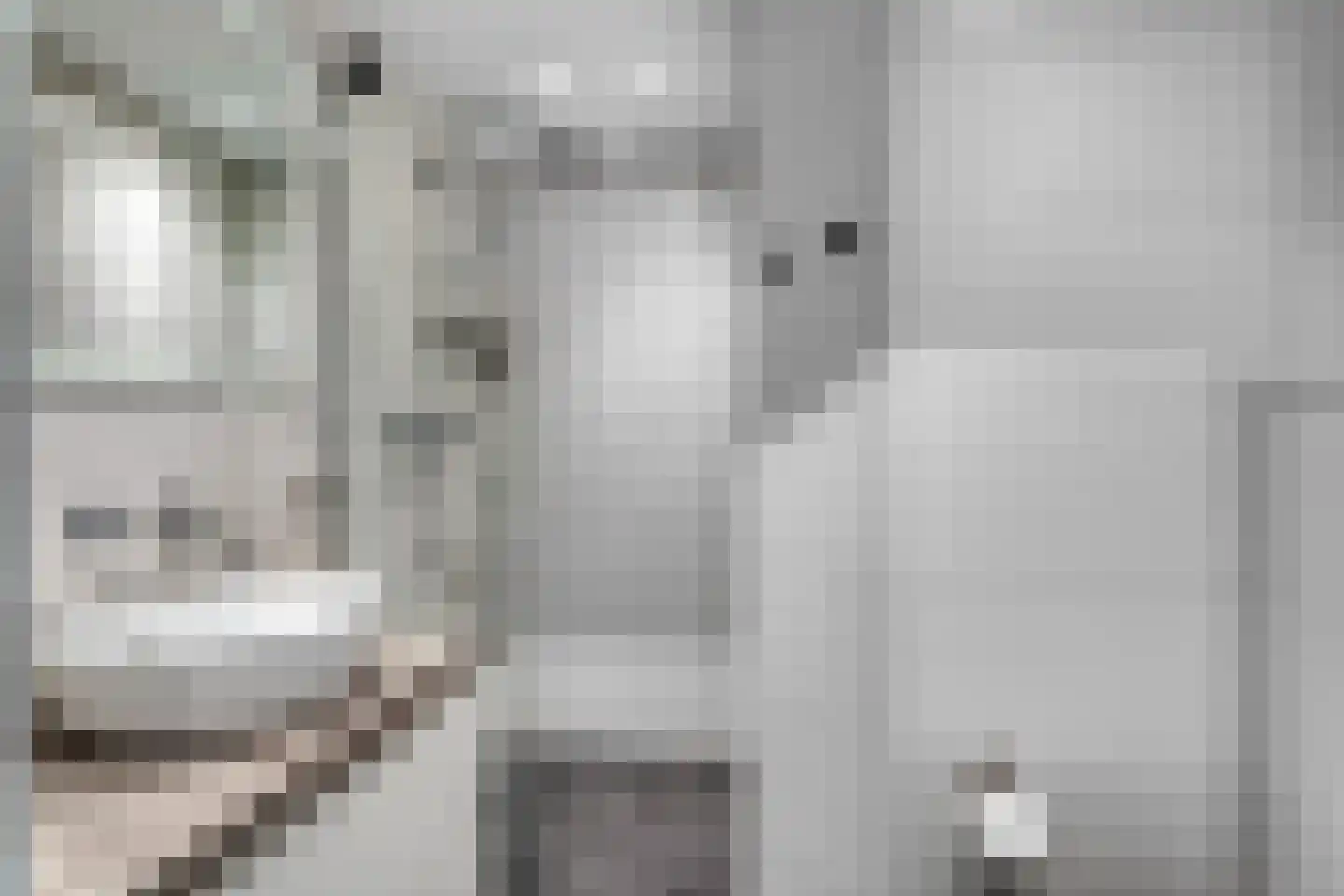 Zand- en Jaagpad 37 Baambrugge thumbnail 28
