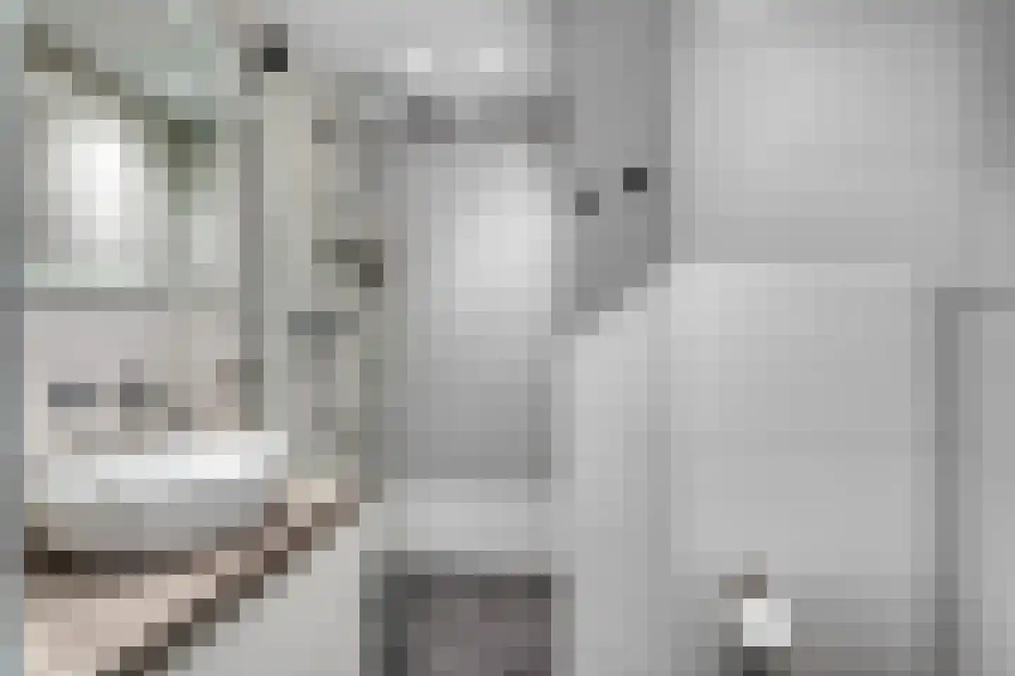 Zand- en Jaagpad 37 Baambrugge thumbnail 28
