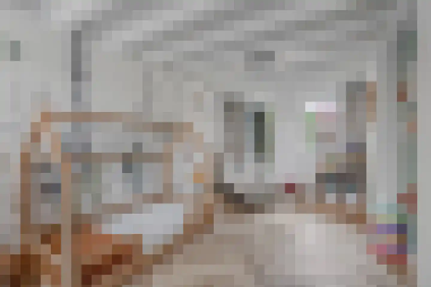 Zand- en Jaagpad 37 Baambrugge thumbnail 33