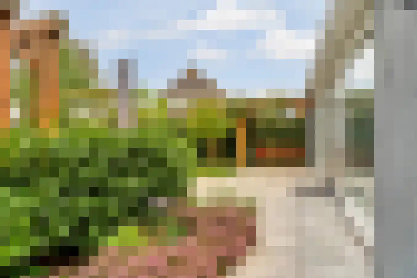 Zand- en Jaagpad 37 Baambrugge thumbnail 37