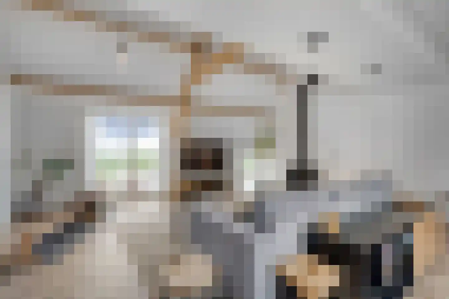Zand- en Jaagpad 37 Baambrugge thumbnail 8