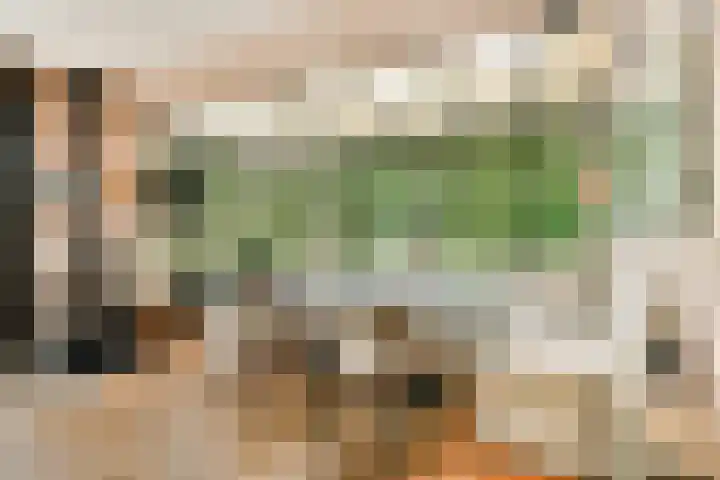 Zand- en Jaagpad 7 Baambrugge thumbnail 10