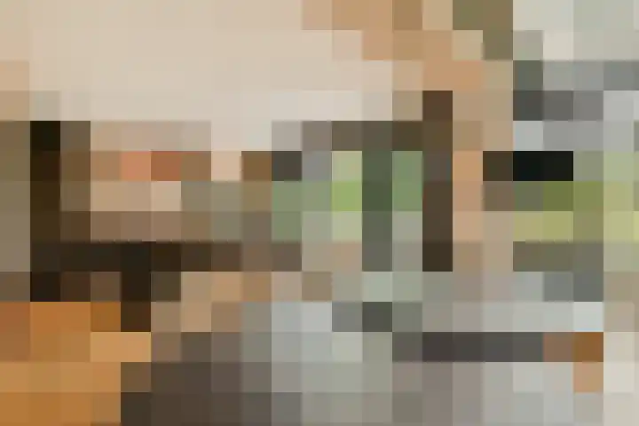 Zand- en Jaagpad 7 Baambrugge thumbnail 14