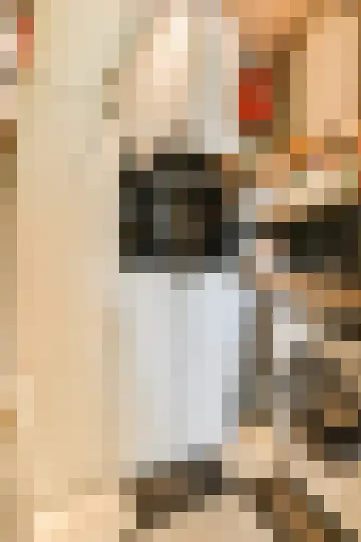 Zand- en Jaagpad 7 Baambrugge thumbnail 15