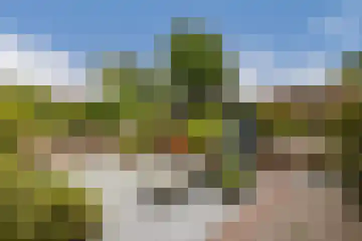 Zand- en Jaagpad 7 Baambrugge thumbnail 16