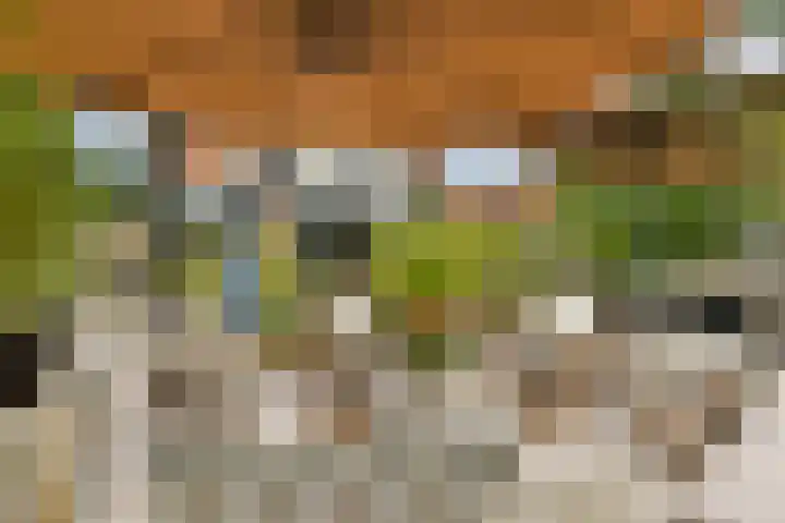 Zand- en Jaagpad 7 Baambrugge thumbnail 17