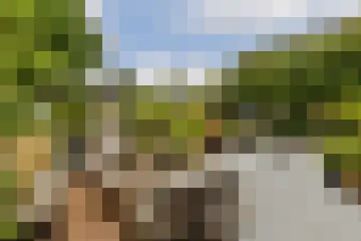 Zand- en Jaagpad 7 Baambrugge thumbnail 18
