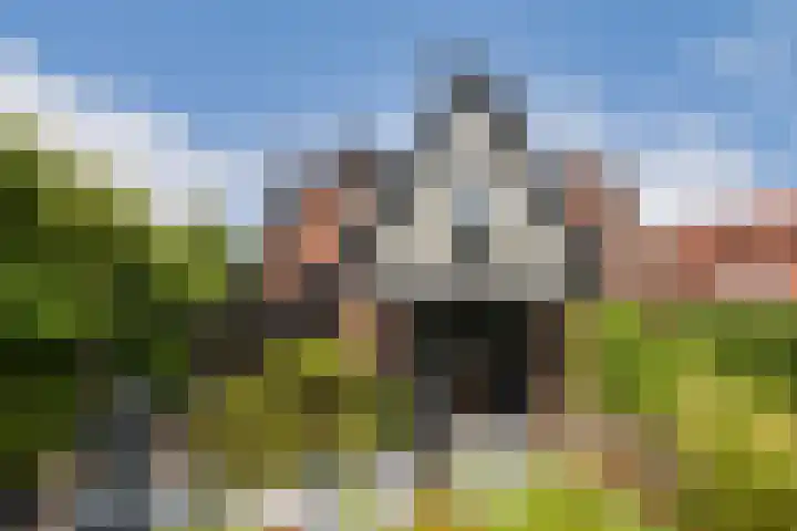 Zand- en Jaagpad 7 Baambrugge thumbnail 19