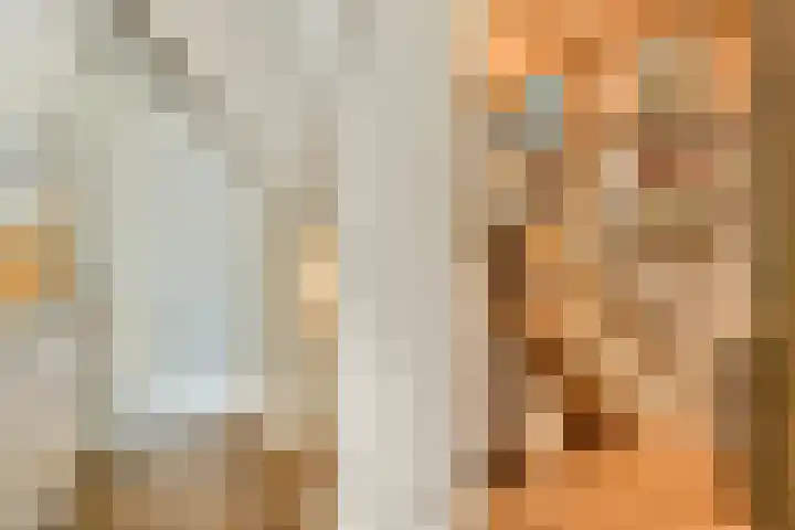 Zand- en Jaagpad 7 Baambrugge thumbnail 21
