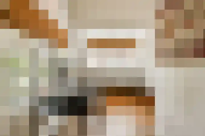 Zand- en Jaagpad 7 Baambrugge thumbnail 23