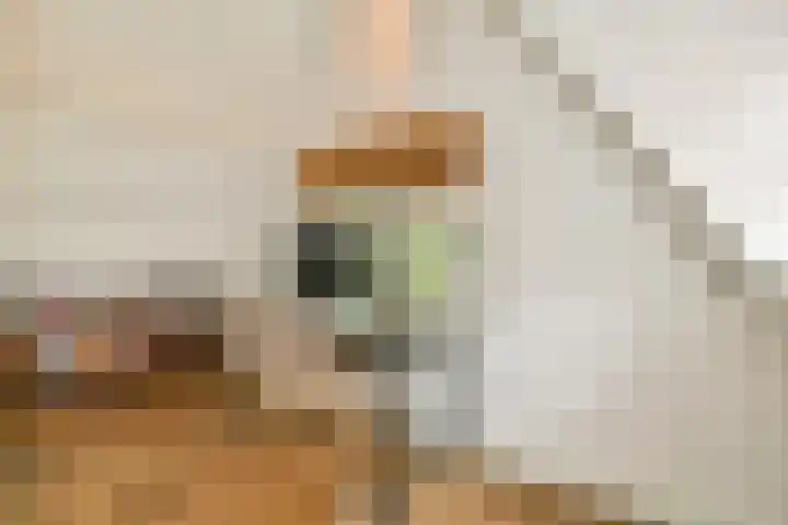 Zand- en Jaagpad 7 Baambrugge thumbnail 24