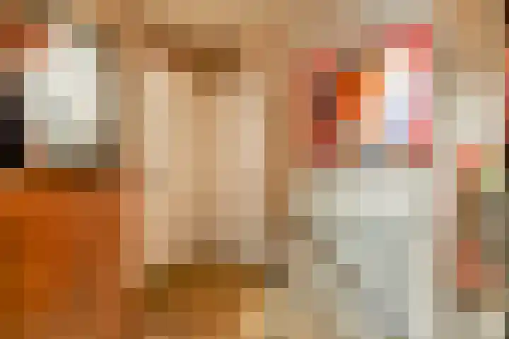 Zand- en Jaagpad 7 Baambrugge thumbnail 34