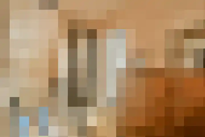 Zand- en Jaagpad 7 Baambrugge thumbnail 35