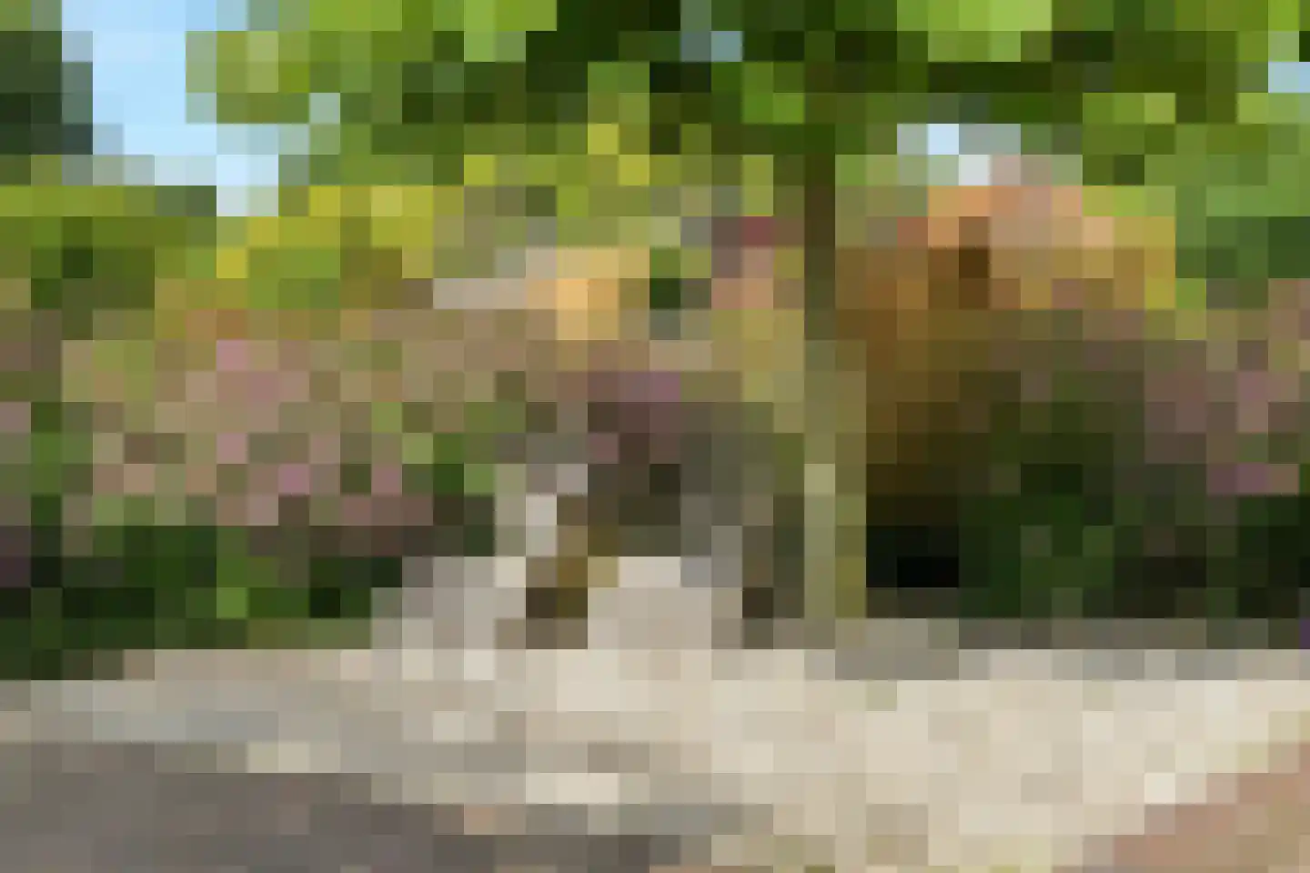 Zand- en Jaagpad 7 Baambrugge thumbnail 36