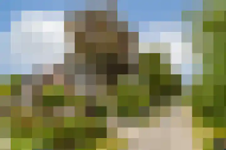 Zand- en Jaagpad 7 Baambrugge thumbnail 37
