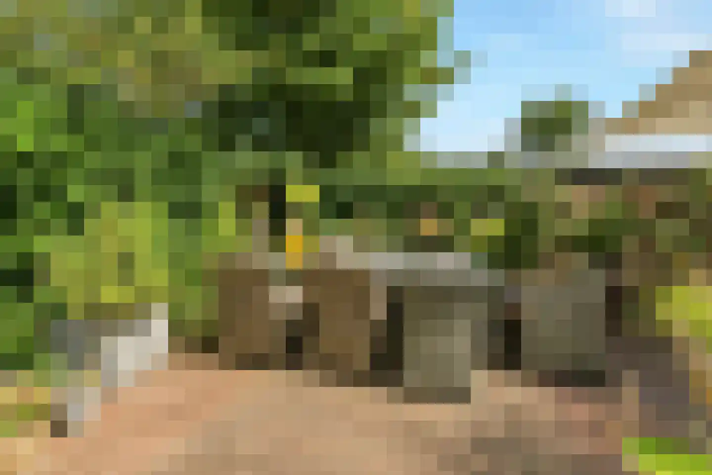Zand- en Jaagpad 7 Baambrugge thumbnail 38