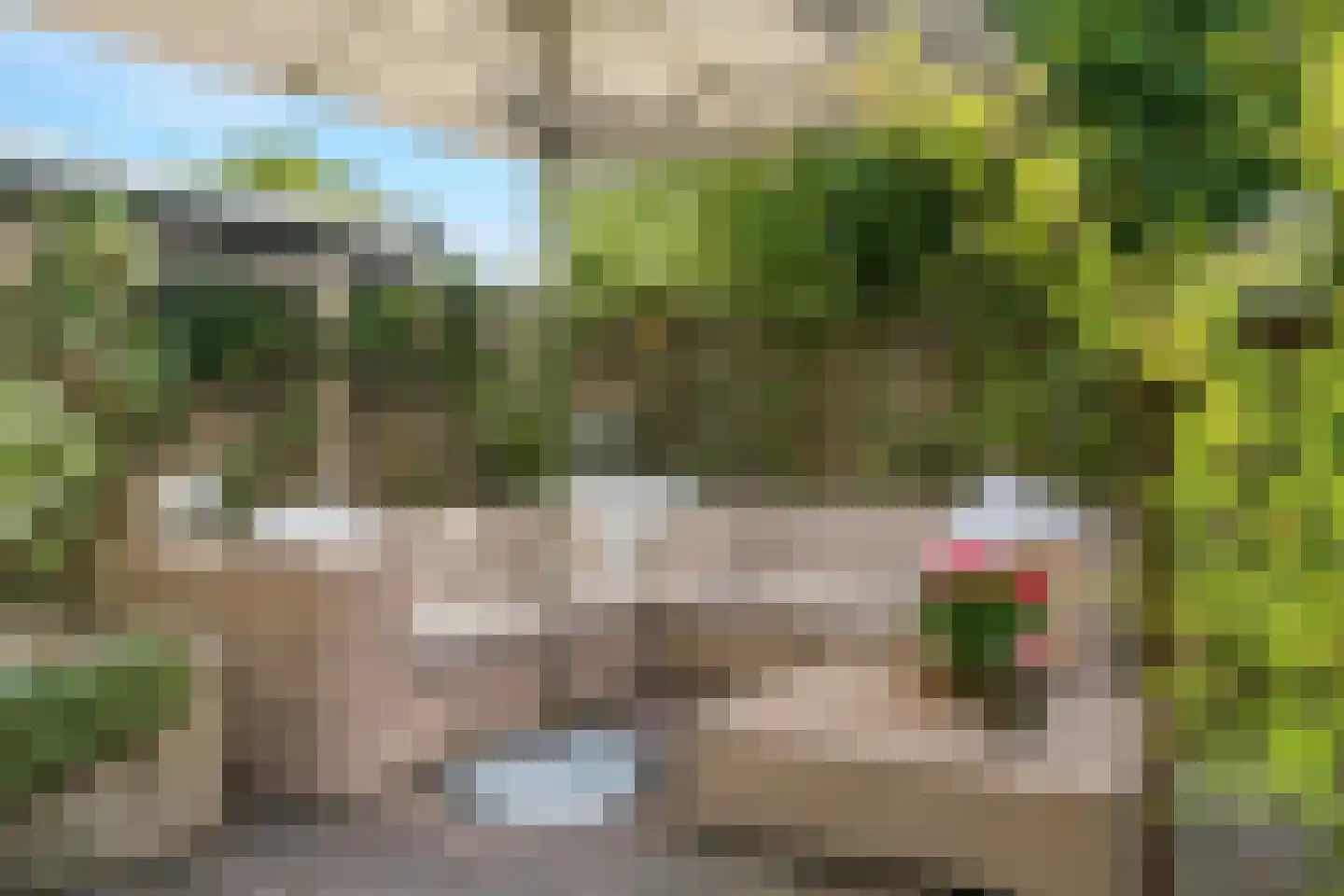 Zand- en Jaagpad 7 Baambrugge thumbnail 39