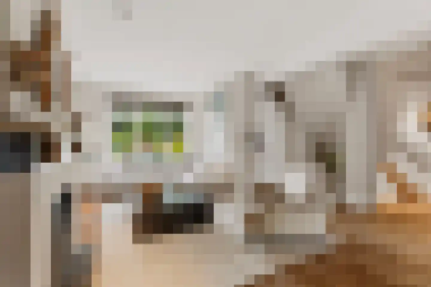 Zand- en Jaagpad 7 Baambrugge thumbnail 4