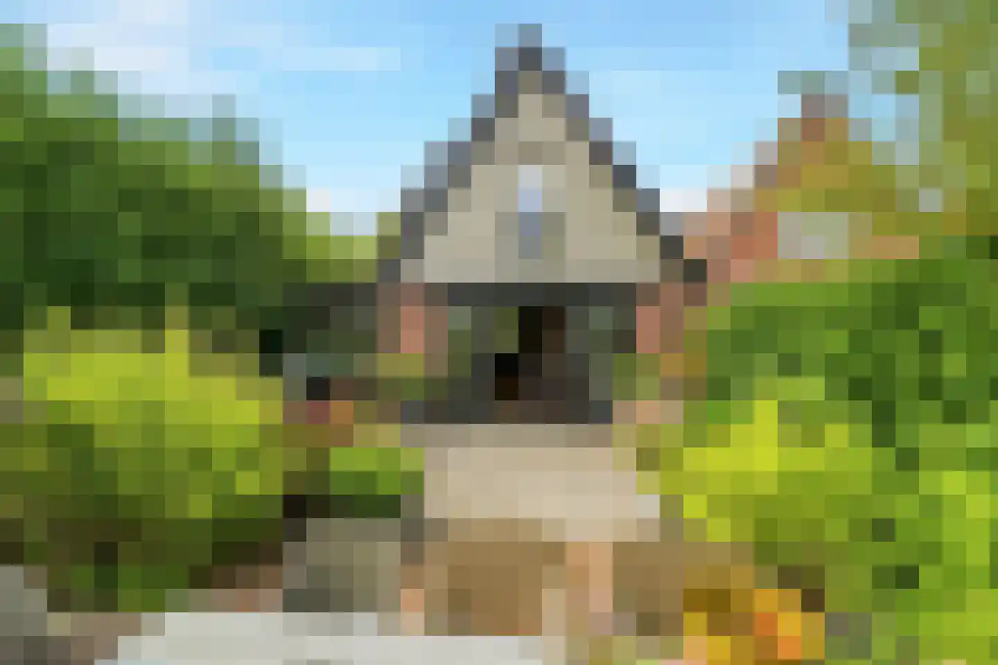 Zand- en Jaagpad 7 Baambrugge thumbnail 42