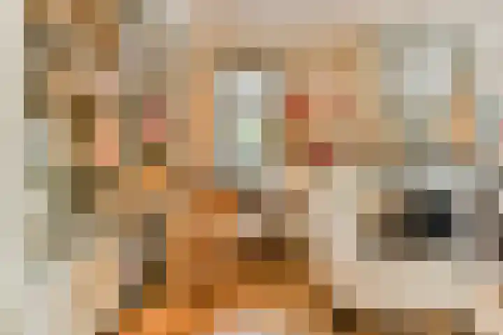 Zand- en Jaagpad 7 Baambrugge thumbnail 7
