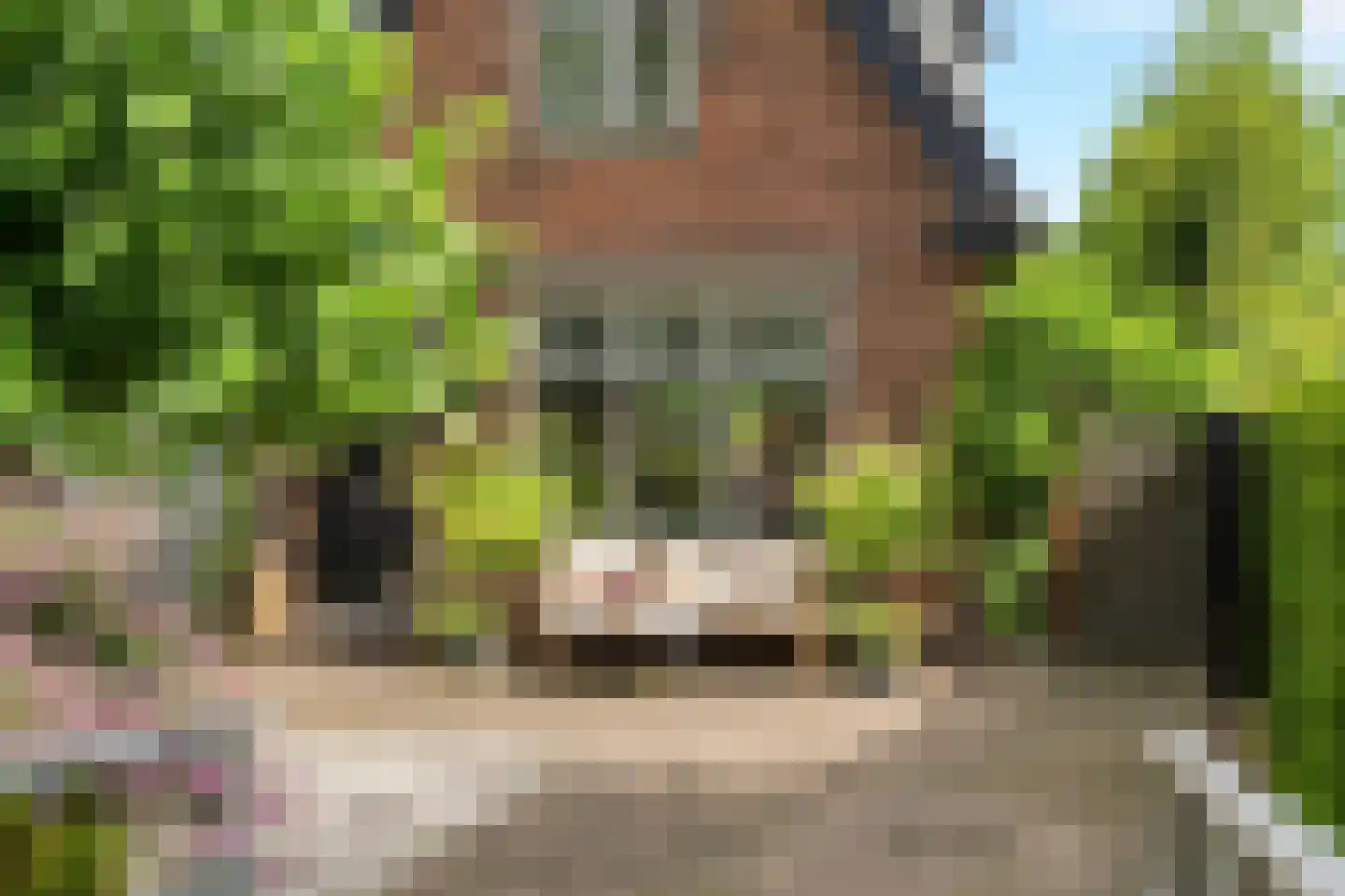 Zand- en Jaagpad 7 Baambrugge thumbnail 8