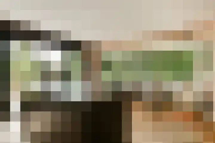 Zand- en Jaagpad 7 Baambrugge thumbnail 9