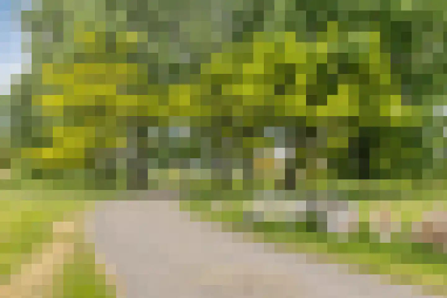 Zandaak 18 Velserbroek thumbnail 41