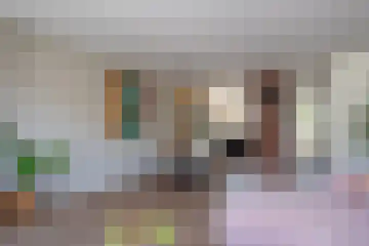 Zandaak 24 Velserbroek thumbnail 11