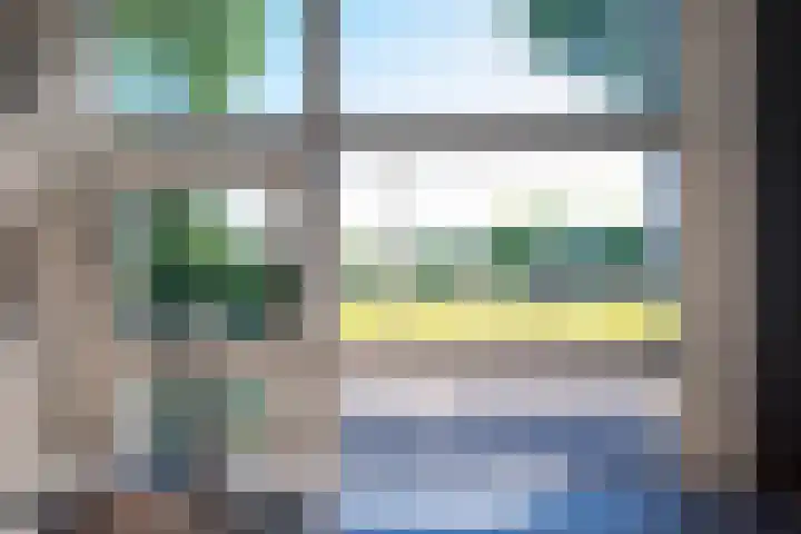 Zandaak 24 Velserbroek thumbnail 15
