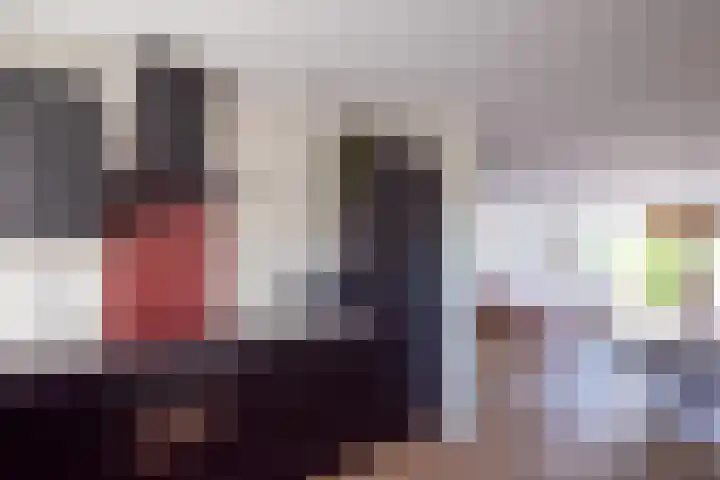 Zandaak 24 Velserbroek thumbnail 17