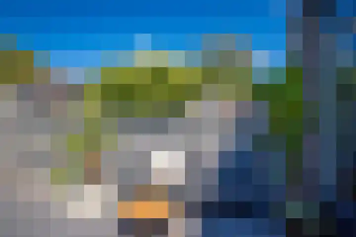 Zandaak 24 Velserbroek thumbnail 20