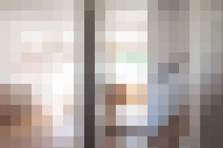 Zandaak 24 Velserbroek thumbnail 32