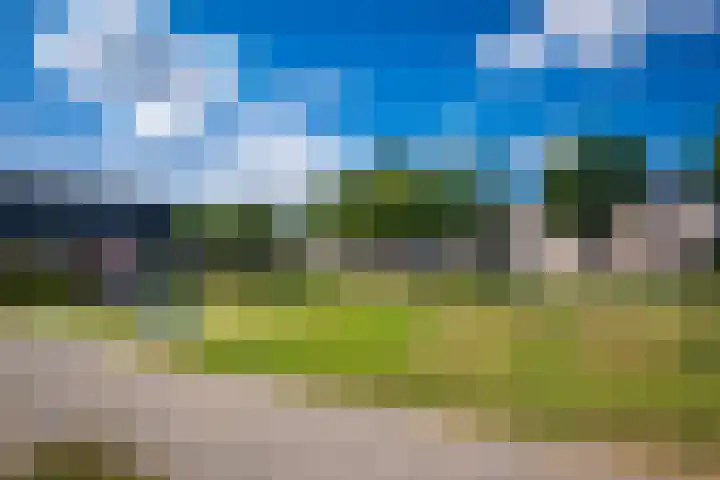 Zandaak 24 Velserbroek thumbnail 39