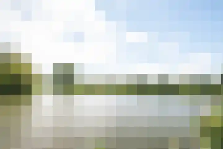 Zandaak 24 Velserbroek thumbnail 45
