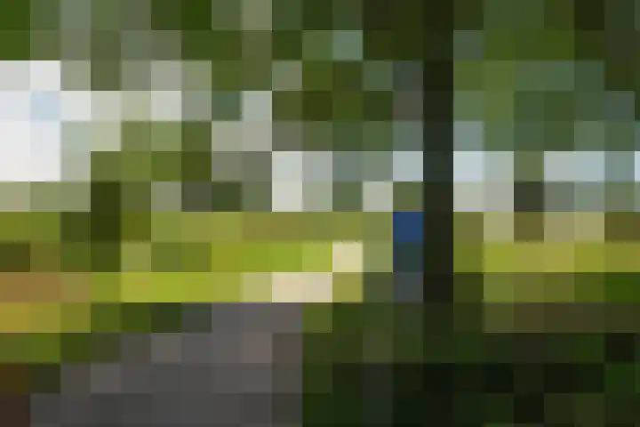 Zandaak 24 Velserbroek thumbnail 46