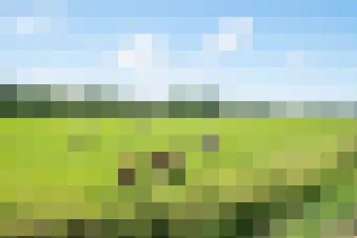 Zandaak 24 Velserbroek thumbnail 50