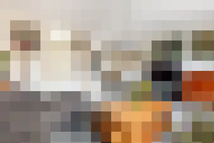 Zandaak 70 Velserbroek thumbnail 10
