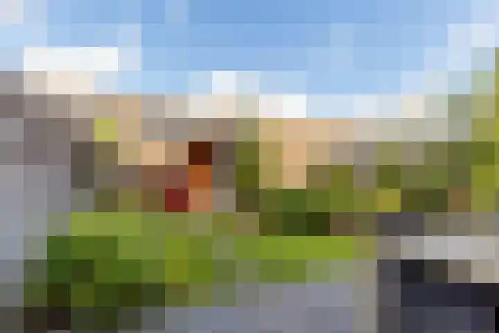 Zandaak 70 Velserbroek thumbnail 15