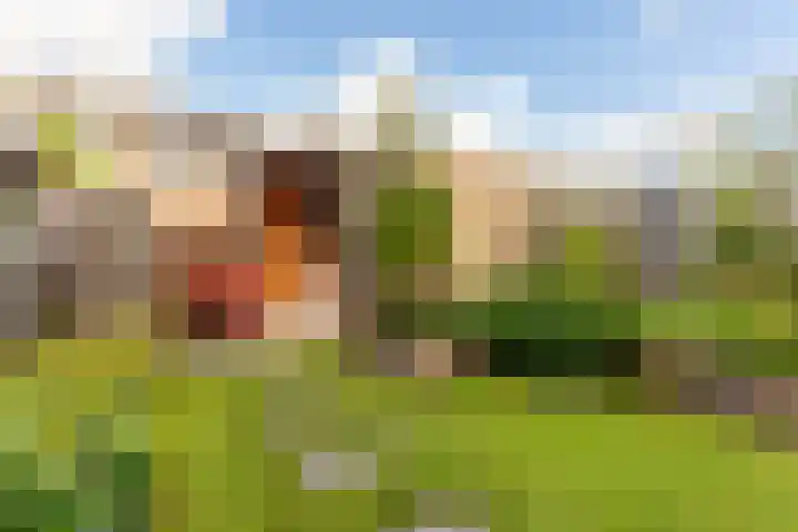 Zandaak 70 Velserbroek thumbnail 17
